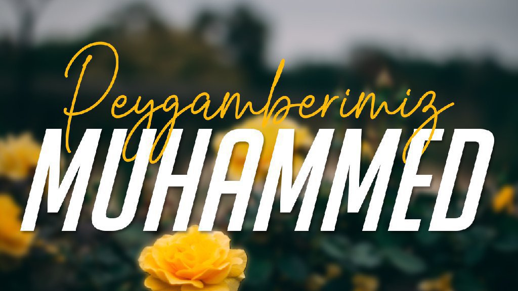 Peygamberimiz Muhammed’dir. ‎(ﷺ)